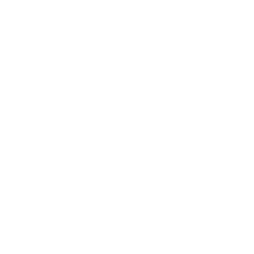 Il Giornale